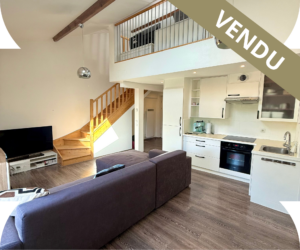 Appartement duplex F2 à vendre à Thionville Élange – pièce de vie avec cuisine ouverte